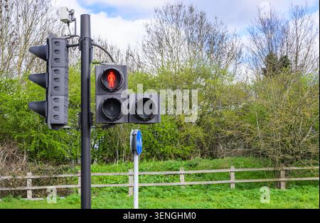 Rotes Fußgänger- und Fahrradübergangssignal an einer Straßenkreuzung, das den Halt anzeigt und die Verkehrssicherheit und die Verkehrsinfrastruktur hervorhebt. Stockfoto