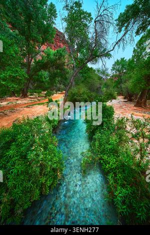 Clear Blue Stream, der durch üppiges Grün und Red Canyon Walls in Arizona fließt Stockfoto