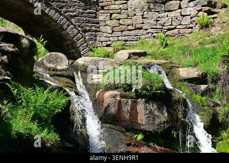 Steinbogenbrücke über moosigen Wasserfall in üppig grünen Wäldern Stockfoto