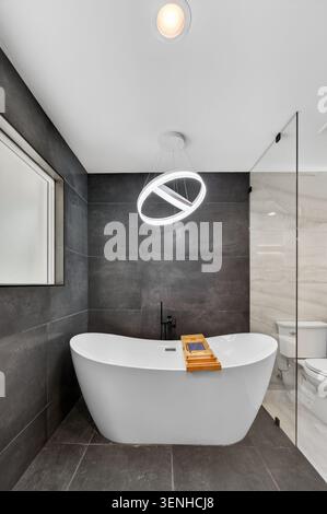 Das moderne Badezimmer verfügt über eine weiße freistehende Badewanne, eine Glasdusche, dunkle geflieste Wände und eine runde Deckenleuchte, die einen sl-raum schafft Stockfoto
