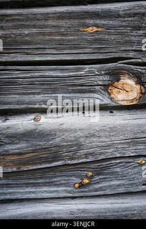 Nahaufnahme einer alten rustikalen Holzwand mit detaillierten Rissen, Körnung und gelben Bernsteinknoten. Hintergrund aus natürlichem Vintage-Holz Stockfoto