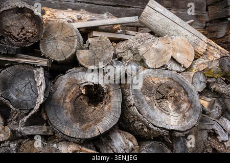 Nahaufnahme eines Haufens trockener, verwitterter Holzstämme mit Ringen, Rissen und Textur. Brennholz für den Winter auf dem Land vorbereiten Stockfoto