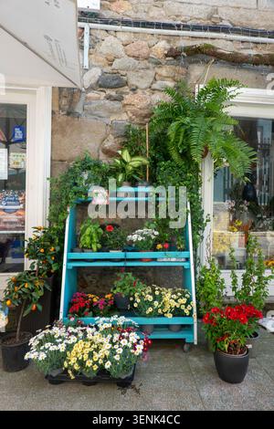 Viveiro, Lugo, Galicien, Spanien - 21. Mai 2026: Farbenfrohe Blumendekoration vor einem Blumengeschäft in Viveiro. Stockfoto