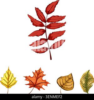 Einzelne Herbstblätter zeigen lebhafte jahreszeitliche Veränderungen, mit verschiedenen Formen und warmen Herbstfarben, die ein starkes Konzept der Naturtransformation schaffen Stock Vektor