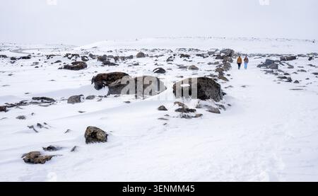 Zu zweit wandern Sie auf einem markierten Pfad durch eine schneebedeckte Landschaft mit Felsen und weißem Himmel und erleben Sie die Winterwildnis Stockfoto