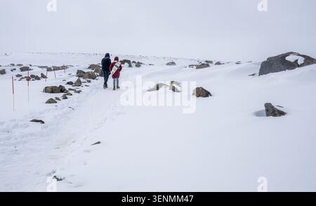 Zu zweit wandern Sie auf einem markierten Pfad durch eine schneebedeckte Landschaft mit Felsen und weißem Himmel und erleben Sie die Winterwildnis Stockfoto