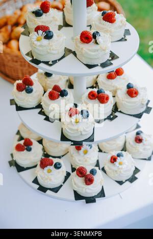 Wunderschöne Auswahl an Mini-Milchkuchen, dekoriert mit frischen Himbeeren, Heidelbeeren und essbaren Blumen auf einem dreistöckigen Dessertstand. Stockfoto