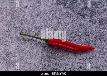 Leuchtend rote Chilischote mit grünem Stiel auf grauer strukturierter Oberfläche. Frisches, scharfes Gemüse, isoliert für kulinarische Zwecke Stockfoto
