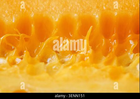 Makronaht von reifer Melonenmasse mit Samen und saftiger Textur. Stockfoto