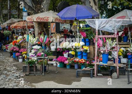 Ein Blumenmarkt im Freien in Tiflis, Georgien, zeigt eine reiche Ausstellung von lebendigen Schnittblumen, darunter Chrysanthemen, Gladiolen und Rose Stockfoto