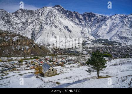 Aus der Vogelperspektive zeigt das Dorf Stepantsminda in Georgia, bedeckt mit frischem Winterschnee, mit einem markanten immergrünen Baum im Vordergrund. Hoch Aufragend Stockfoto