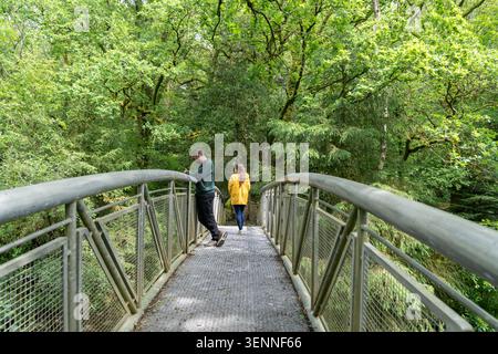 Menschen, die auf einer Metallbrücke im üppigen grünen Wald spazieren Stockfoto