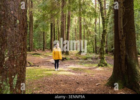 Frau in gelbem Regenmantel, die friedlichen grünen Wald erforscht Stockfoto