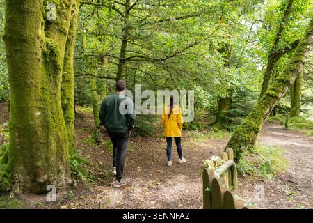 Ein Paar wandert durch einen grünen, moosigen Waldweg Stockfoto