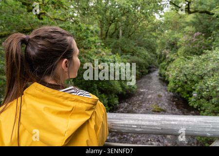 Frau in gelbem Regenmantel genießt Blick auf den Wald Stockfoto