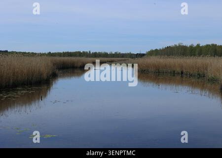 Kanäle im Federsee bei Bad Buchau in Oberschwaben Stockfoto