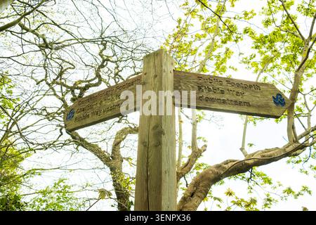 Hölzerne Wegweiser in Lancashire, die den Ribble Way-Fußweg markieren und die Wanderer in Richtung Chatburn und dem Flusslauf führen. Stockfoto