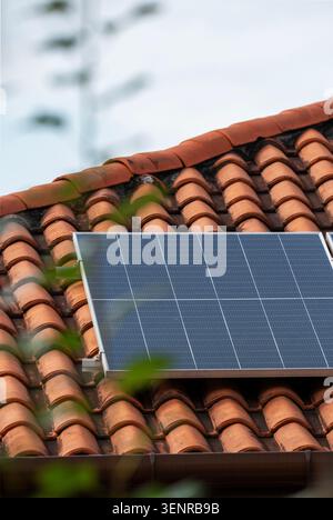 Vertikale Nahaufnahme eines modernen Photovoltaik-Sonnenkollektors auf einem geschwungenen Dach aus Terrakottafliesen, das von einem sanften grünen Laub im Vordergrund eingerahmt wird. Stockfoto