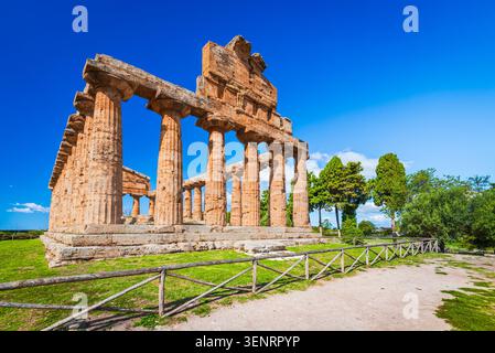 Majestätischer griechischer Tempel der Athena in Paestum, Italien. Gut erhaltenes Erbe der Magna Graecia. Stockfoto
