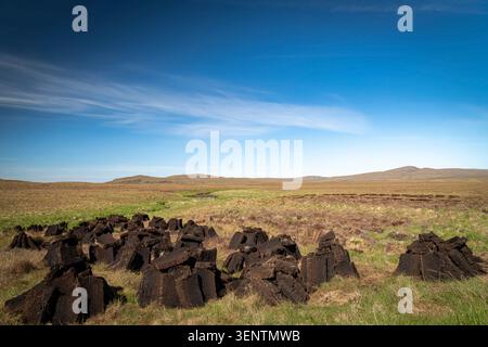 Ein warmes, sonniges HDR-Landschaftsbild von frisch gegrabenem Torf, das bei Sommersonne in Strathnaver, Sutherland, Schottland, trocknet. Mai 2026 Stockfoto