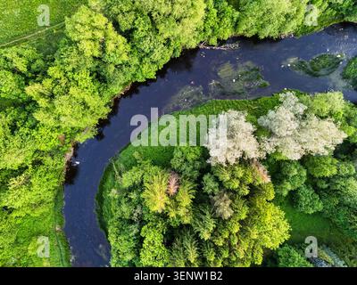 Von oben nach unten auf einen sich windenden Fluss, der sich durch einen üppigen grünen Wald biegt Stockfoto