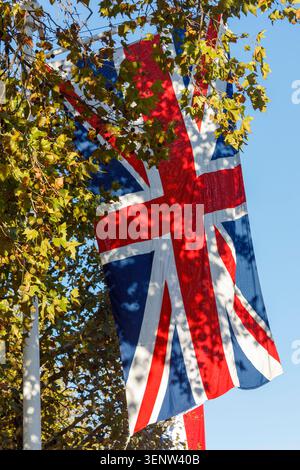 Gewerkschaftsflagge, Buxkingham Palace, London, England, Vereinigtes Königreich Stockfoto