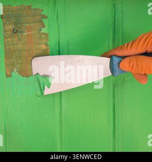 Reinigen Sie die Vorderseite der Tür mit einem scharfen Spachtel von grüner Farbe. Entfernen der Beschichtung mit einem Bauwerkzeug. Reparatur im Haushalt. Stockfoto