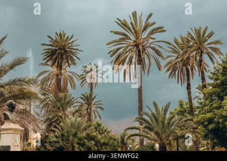 Hohe Palmen in einem mediterranen Stadtpark vor dramatisch bewölktem Himmel mit Brunnen und Berg in Sizilien Italien. Hochwertige Fotos Stockfoto