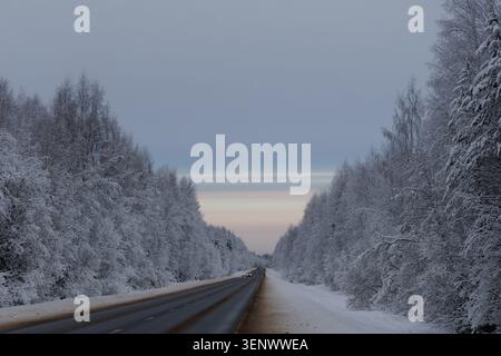 Warme Sonnenstrahlen erleuchten einen dichten Wald und einen mit Eis bedeckten Waldfluss. Die tief untergehende Sonne unterstreicht die komplizierten Muster auf dem... Stockfoto