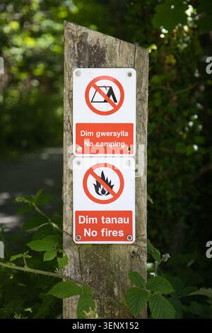 Ein verwitterter hölzerner Wegweiser mit zweisprachigen Warnschildern ohne Camping und Feuer, eingerahmt von grünen Brombeeren im Penrhos Coastal Park, Wales. Stockfoto