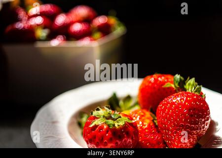 Schüssel mit Reifen roten Erdbeeren im Morgensonnenlicht auf einer Küchentheke, frische Bio-Erdbeere von einem Bauernstand Stockfoto