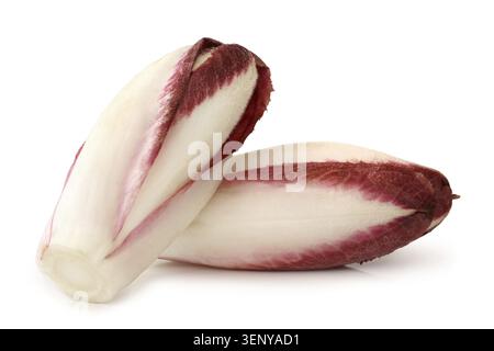 Rote Zichorie auf weißem Hintergrund Stockfoto