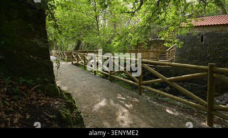 Ein friedlicher Schotterweg, der von einem Holzzaun begrenzt wird, führt durch einen sonnendurchfluteten Wald zu einem alten Steingebäude. Stockfoto