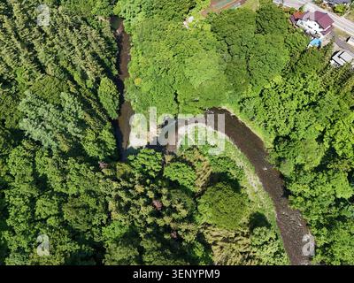 Der Fluss schlängelt sich durch dichte Baumkronen. Sonnenlicht filtert durch hohe grüne Bäume darüber. Felsen säumen das Flussbett und erzeugen natürliche Kurven. Kleine s Stockfoto