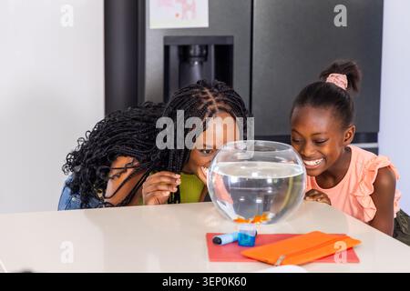 Afroamerikanische Mutter und Jugendliche lehnten sich über die weiße Arbeitsplatte in der Küche und beobachteten Goldfischschschalen Stockfoto