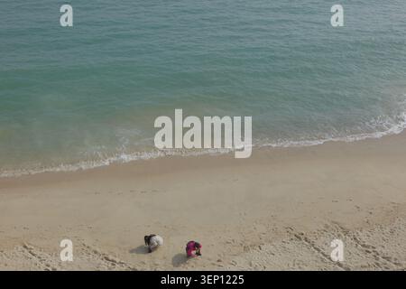 Aus der Vogelperspektive auf einen Strand mit weichem, grünem Wasser, das auf den Sand gespült wird und zwei Personen Muscheln entlang der Küste sammeln Stockfoto