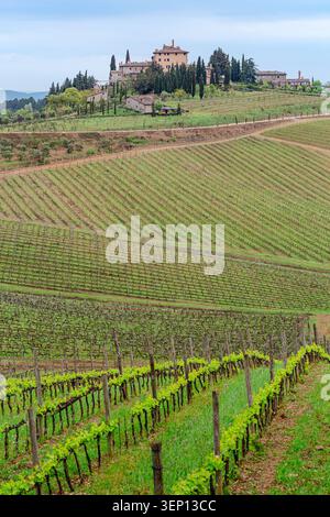 Herrliche Frühlingslandschaft mit grünen Hügeln, Weinbergen und Bauernhäusern im Herzen der Toskana, Italien. Stockfoto