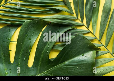Tropisches Palmenmuster und Monstera-Blätter auf gelbem Hintergrund. Draufsicht. Nahaufnahme. Sommerurlaub. Stockfoto