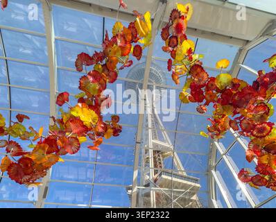 Die ikonische Seattle Space Needle, eingerahmt von Chihuly Glas im Chihuly Garden and Glass Museum in Seattle Stockfoto