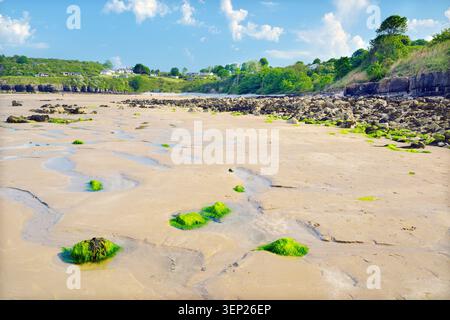 Ein sonniger Sommerblick auf einen Sandstrand bei Ebbe mit Klippen und einem grünen Küstendorf in der Ferne. Stockfoto