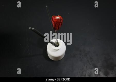 Moderner Schreibtisch mit Reed-Diffusor und dekorativer roter Blume in der Nähe von Computermonitor und Laptop-Arbeitsbereich Stockfoto
