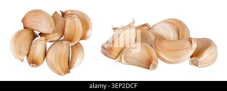 Knoblauchzehen isoliert auf weißem Hintergrund Nahaufnahme. Draufsicht. Flache Lagen. Stockfoto