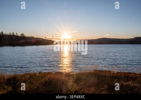 Sonnenuntergang über einem See mit goldenen Reflexen auf dem Wasser und trockenem Gras im Vordergrund. Ruhige abendliche Landschaft auf dem Land Stockfoto