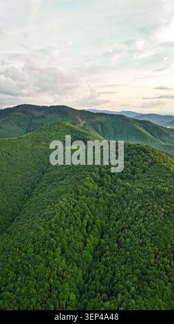 Vertikale Luftaufnahme der sanften grünen Berge, die von dichtem Wald bedeckt sind, unter einem pastellfarbenen Abendhimmel mit verstreuten Wolken und entferntem Nebel, der das val erfüllt Stockfoto