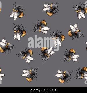 Muster-Bumblebee-Linienzeichnung mit einem flauschigen Bestäuberinsekt in einem detaillierten, handgezeichneten Vintage-Skizzenstil, der Natur und ecolo repräsentiert Stock Vektor