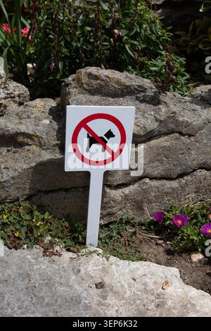 In der Nähe von Felsen und Blumen steht ein Schild, das darauf hinweist, dass Hunde im Garten nicht erlaubt sind. Die Gegend ist sonnig und um das Schild wachsen Pflanzen. Stockfoto