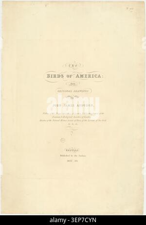 Eine Titelseite stellt die Vögel Amerikas vor und präsentiert John James Audubons ornithologische Arbeit als strukturierte naturgeschichtliche Publikation, die sich auf amerikanische Vogelarten und wissenschaftliche Illustrationstraditionen des frühen 19. Jahrhunderts konzentriert. Stockfoto
