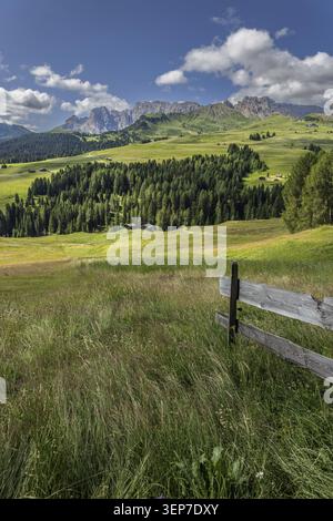 Blick von der Seiser Alm auf Rosengarten und die Rosszaehne in den Dolomiten, Suedtirol, Italien. Blick von der Seiser Alm in Richtung Rosengartengros Stockfoto