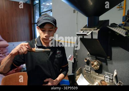 Ein erfahrener Röster inspiziert frisch geröstete Kaffeebohnen in einer Werkstatt. Führen Sie den Röstprozess sorgfältig durch, und zeigen Sie ihr Know-how in der Kaffeevorbereitung Stockfoto