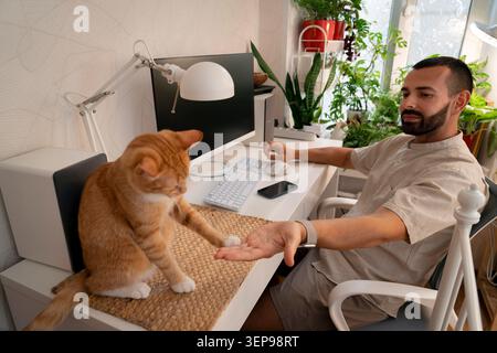Ein Mann, der an einem Schreibtisch sitzt, greift seine Ingwerkatze an, während er von zu Hause aus arbeitet. Pflanzen sind in der Nähe des Fensters im Hintergrund sichtbar. Die Zeit ap Stockfoto